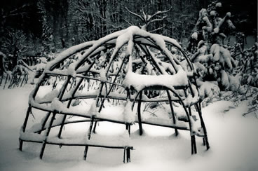 winter